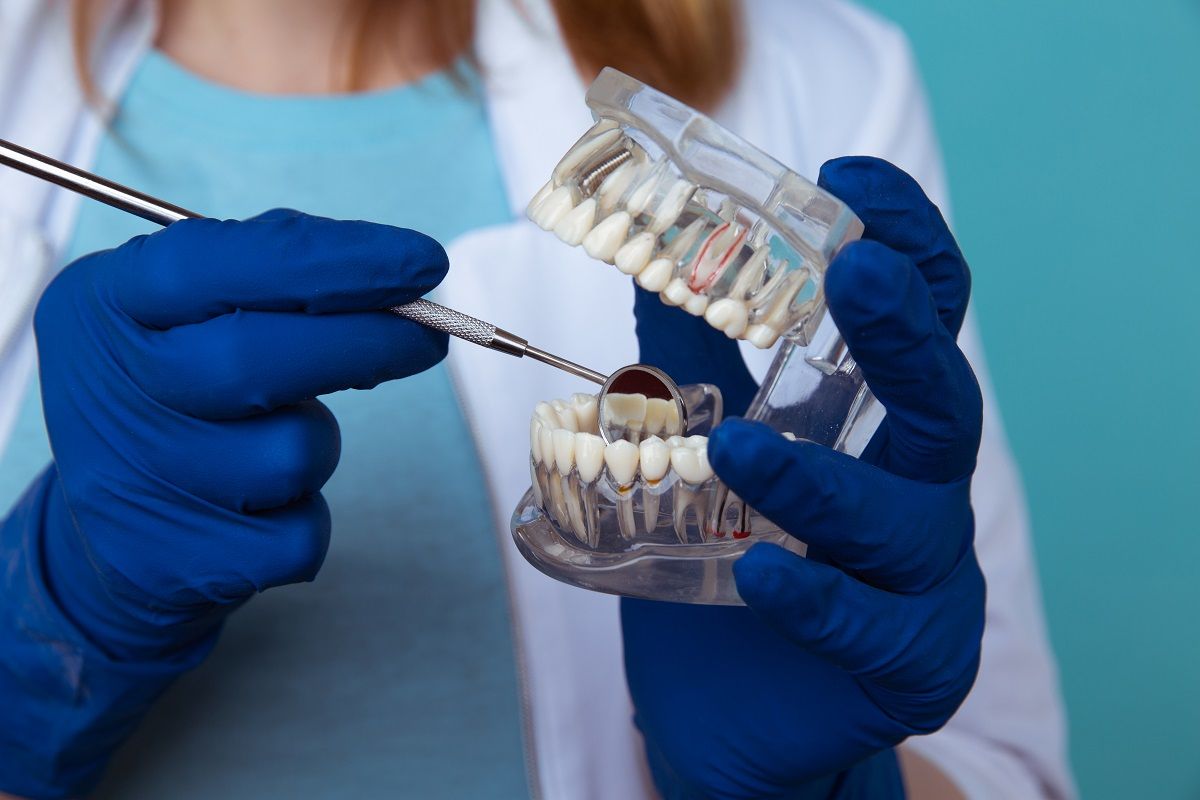The Different Types of Orthodontic Treatment Options Available